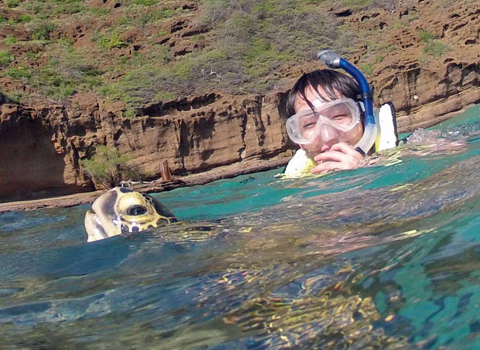 Hanauma Bay Guided Snorkel Tour Hanauma Bay Dive Tours Reservations